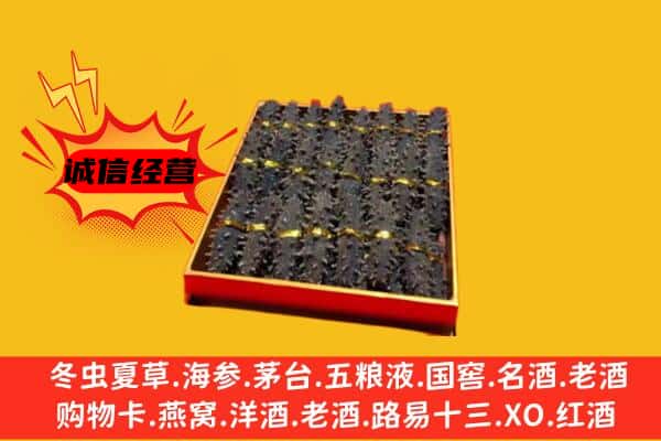 七台河茄子河回收海参